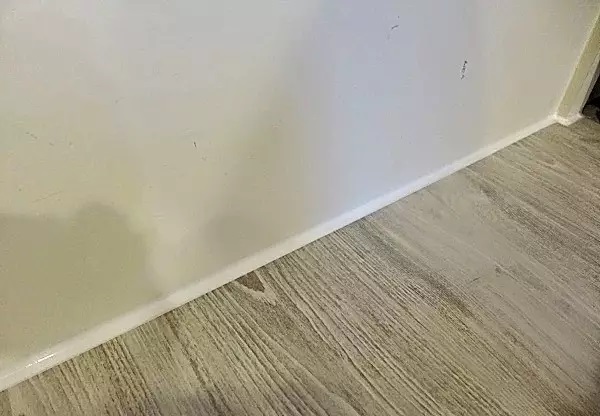 1508139473808204.jpg 1.jpg